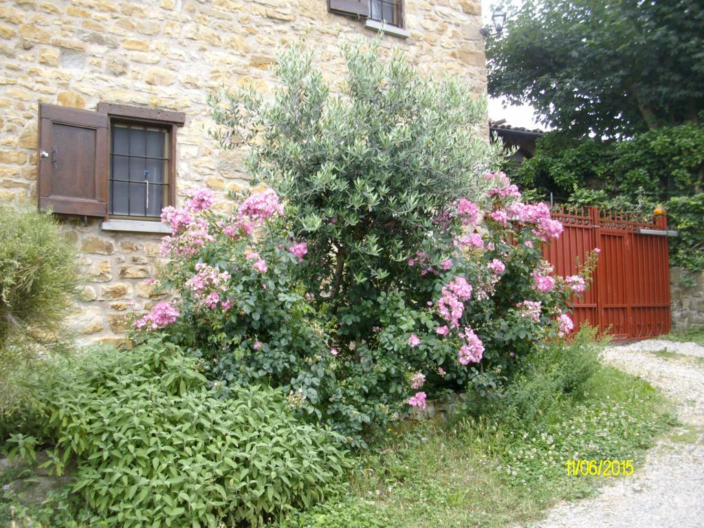 B&B San Nicola Serramazzoni ภายนอก รูปภาพ