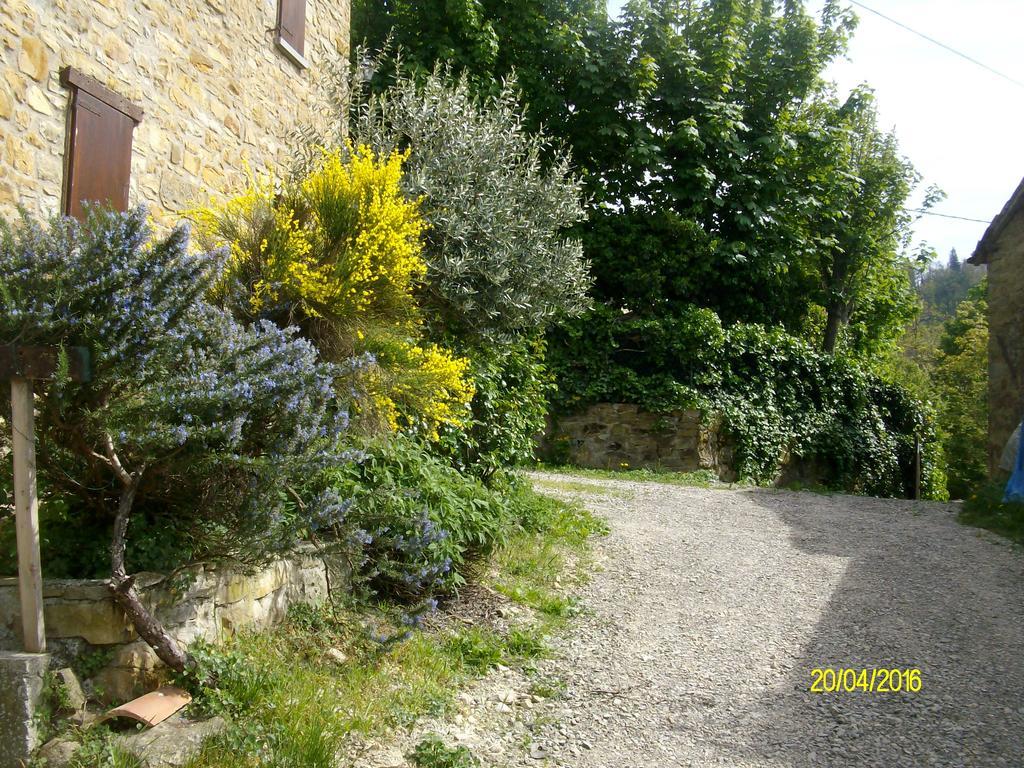 B&B San Nicola Serramazzoni ภายนอก รูปภาพ
